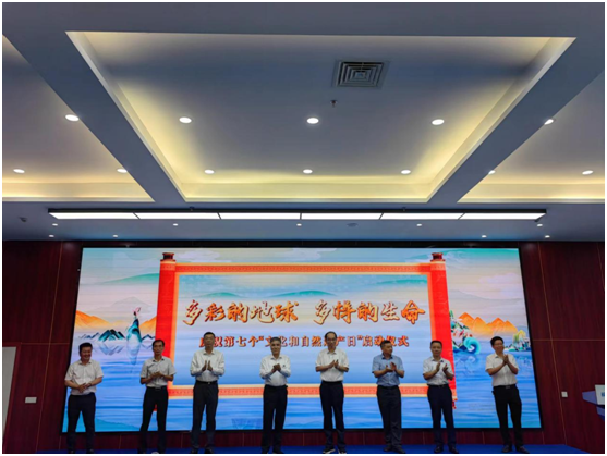 启动仪式照片