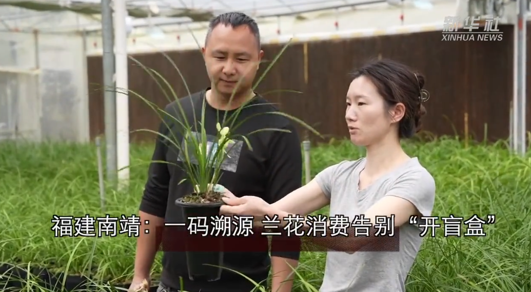 福建南靖：一码溯源 兰花消费告别