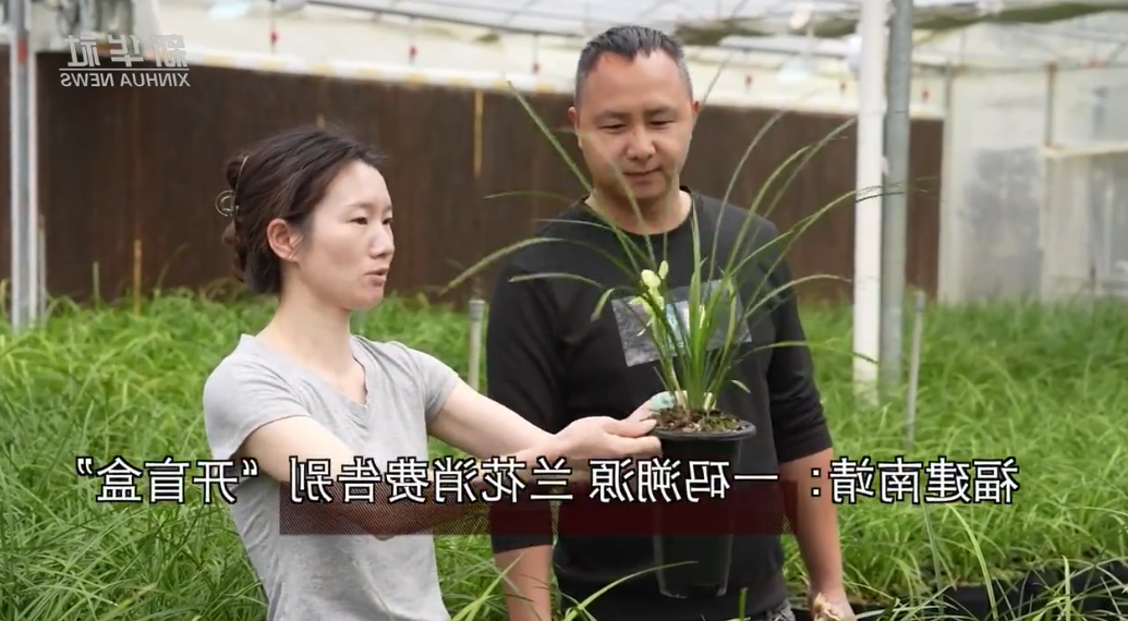 澳门新葡京娱乐城