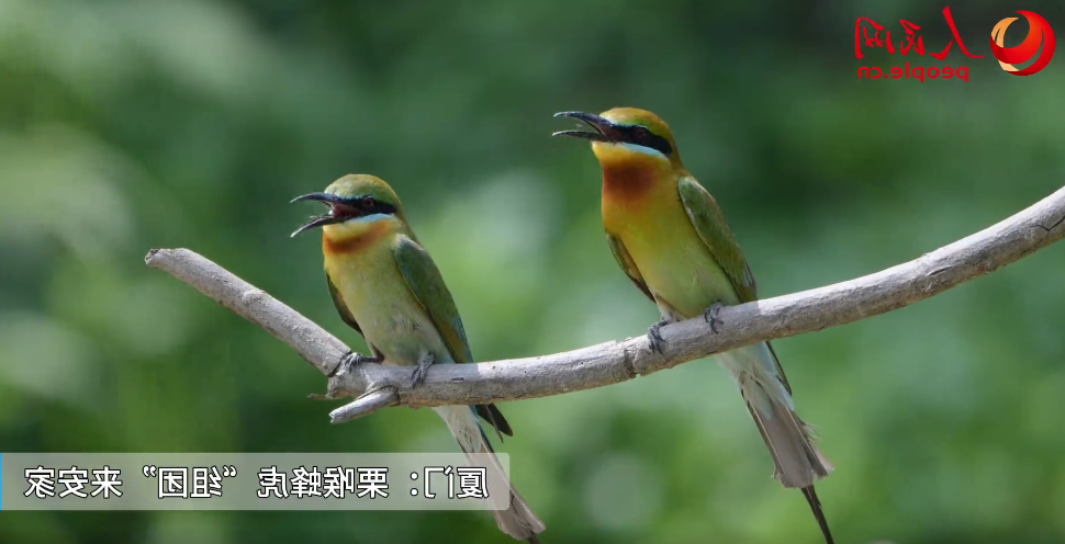 澳门新葡京娱乐城