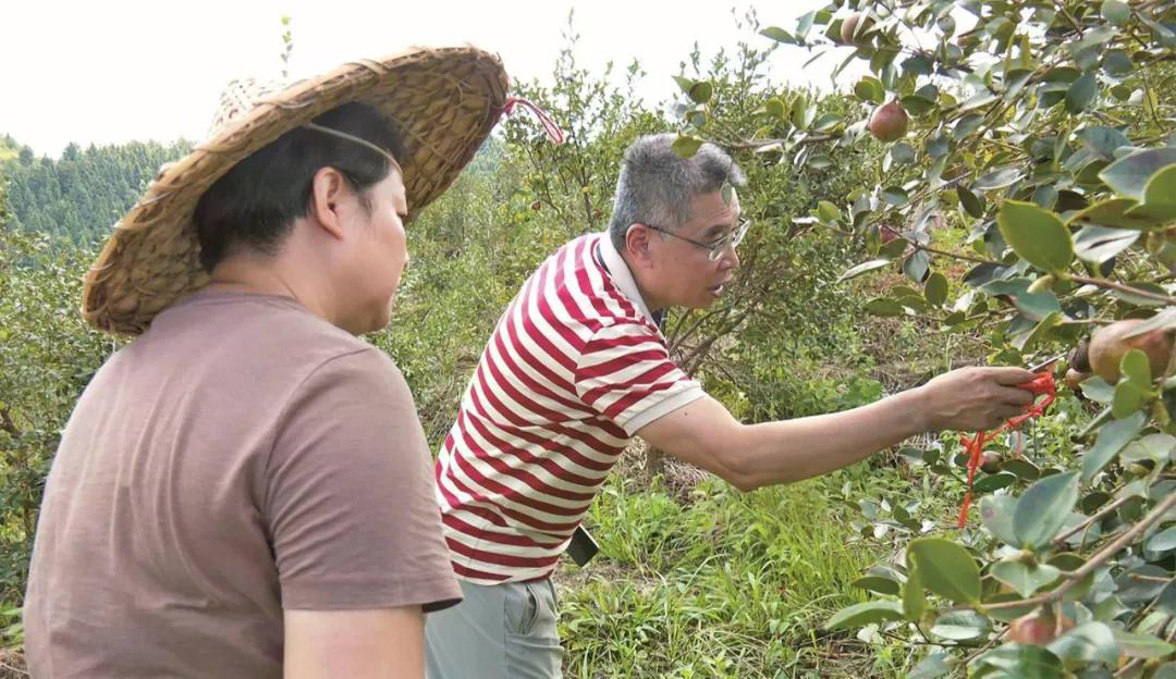 澳门新葡京娱乐城