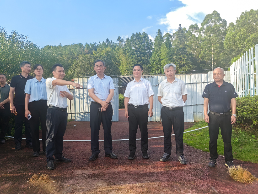 澳门新葡京娱乐城