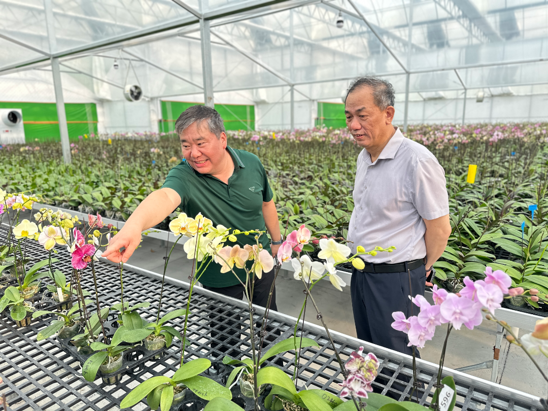 澳门新葡京娱乐城
